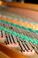 Grand piano detail