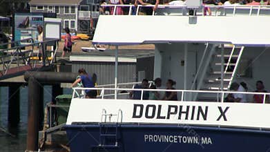 Provincetown whale watch