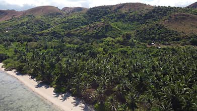 Philippine Paradise: Aerial Drone Views of Stunning Sunsets, Sunrises, and Tropical Beaches with Palm Trees