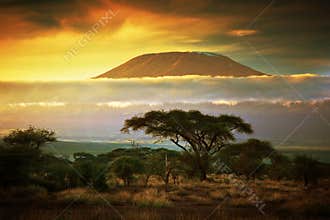 Mount Kilimanjaro. Savanna in Amboseli, Kenya