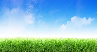 Cut grass