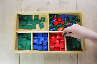 Montessori puzzle. Preschool.