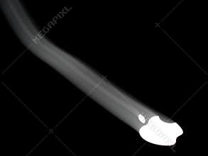 Sliding Apple Logo