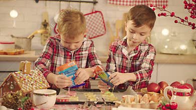 Cute boys making gingerbread icing cookies on Christmas Eve