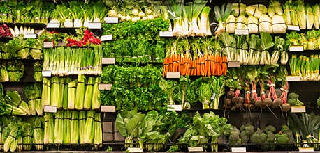 Wall of vegetables