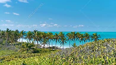 Beautiful tropical natural beach jungle forest panorama Contoy island Mexico