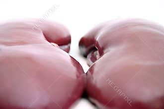Kidney 1