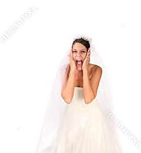 Crazy Bride: Bridezilla on