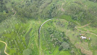 train runs through the beautiful scenic tea hills
