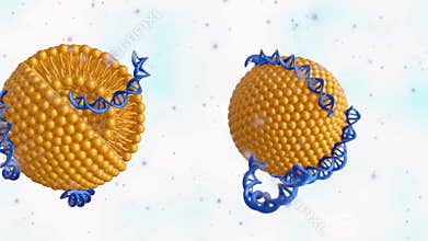 3d animation of DNA-Liposome complex