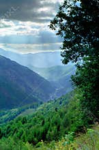 Romanian Valley Carpathian Mountains