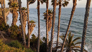 Sunsets at Swamis Reef Surf Park, Moonlight, Cardiff and Del Mar beaches.