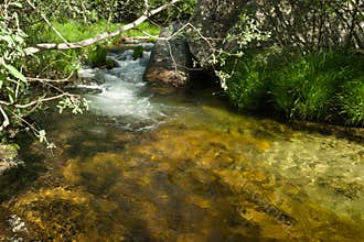 landscape, spring, view, river, plants, nature, water, transpare