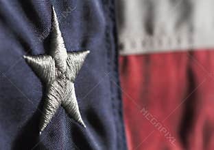 Texas State Flag