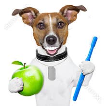 Perfect smile dog
