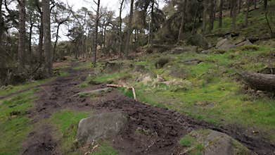 Destination scenics at The Roaches in the Peak District National Park
