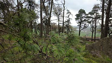 Destination scenics at The Roaches in the Peak District National Park