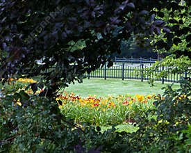 Secret garden
