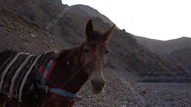 Lake Ifni located in the Toubkal National Park in the High Atlas Mountains of Morocco.