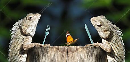 Funny romantic dinner, sharing concept