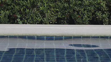 Water rippled pattern on blue water surface in swimming pool.