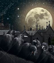 Night of the crows