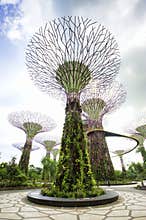 Gardens by the Bay Singapore