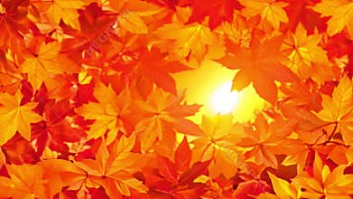 Autumn background. Beautiful foliage, bright leaves and autumn elements. Seasonal concept. Ai-generated.