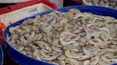 Fresh raw shrimp displayed at seafood market