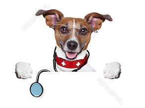 Medical doctor dog
