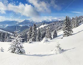 Beautiful winter landscape in the mountains