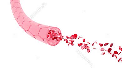 3D animation of artery or vein with the movement of red blood cells.