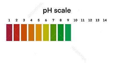Ph scale diagram, Ph scale graphic, Acid to base, pH scale Infographic acid-base