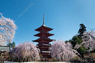 Two-tiered Japanese pagoda with cherry blossoms
