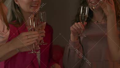 Group of young women friends and bride celebrating bachelorette party at home, bridesmaids and bride cheers drinking