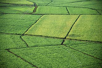 Aerial of crop fields.