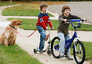 Boys Playing with the Dog