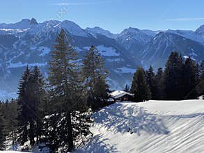 Picturesque canopies of alpine trees in a typical winter atmosphere over the Lake Walen or Lake Walenstadt (Walensee)
