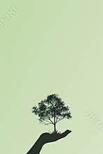 Minimalistic poster background design, flat simple style, solid light green background with a tree