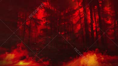 Trees Consumed by Flames and Shrouded in Thick, Rolling Smoket