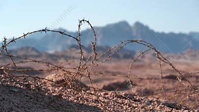 Barbed wire in Sinai desert, Egypt