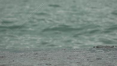 Waves Ocean Shore Closeup of ocean waves crashing on the shore.