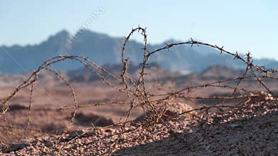 Barbed wire in Sinai desert, Egypt