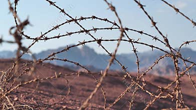 Barbed wire in Sinai desert, Egypt