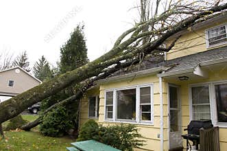 NEW JERSEY, USA, October 2012 - Residential roof damage caused b