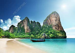 Caribbean sea and palms