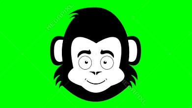 video drawn animation head monkey, primate or chimpanzee cartoon heart eyes