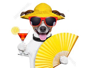 Summer cocktail dog