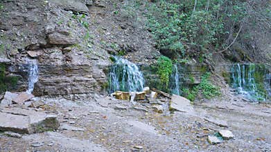 Twelve underground pure Slavonic springs. Izborsk, Russia.