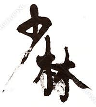 Shaolin Chinese calligraphy character